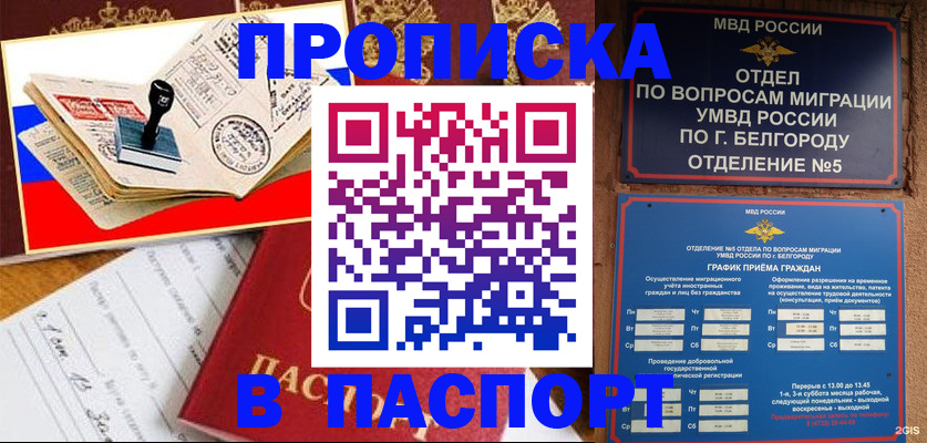 купить прописку в Белгородской области